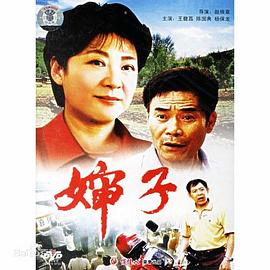 婶子封面图