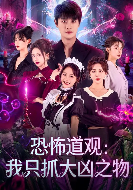 恐怖道观：我只抓大凶之物海报图