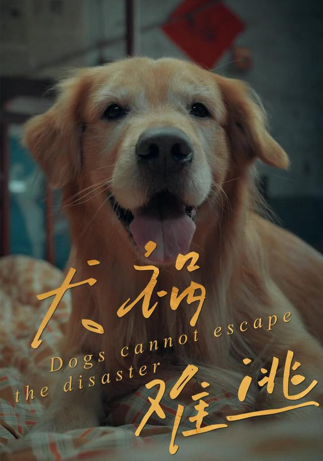 犬祸难逃海报图