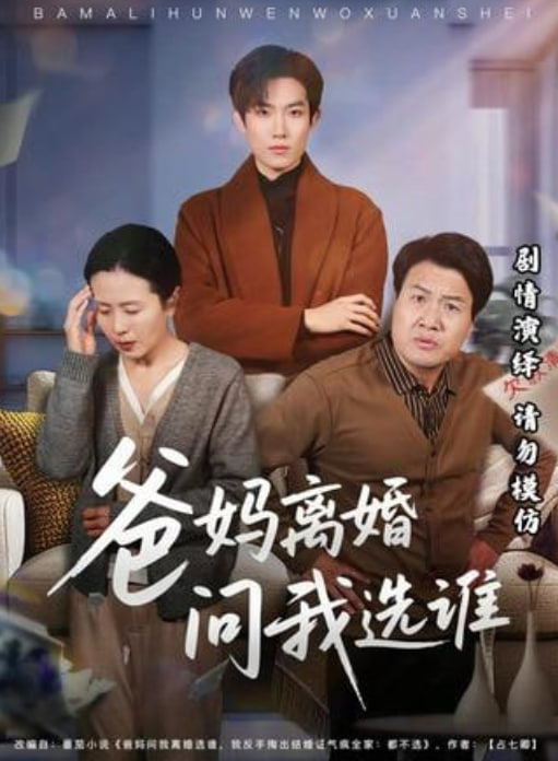 爸妈离婚问我选谁海报图