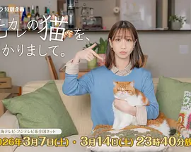 我收留了前男友的猫海报图