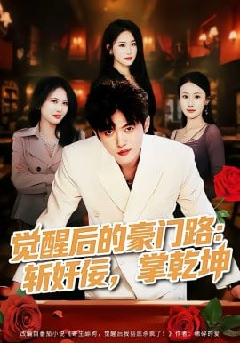 觉醒后的豪门路：斩奸佞掌乾坤海报图