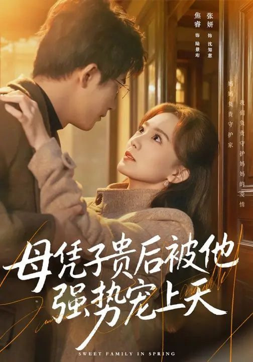 母凭子贵后被他强势宠上天海报图