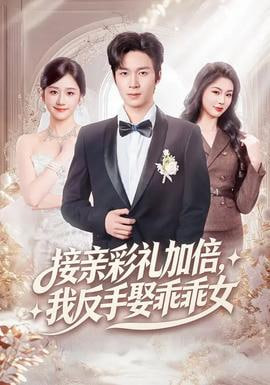 接亲彩礼加倍，我反手娶乖乖女海报图