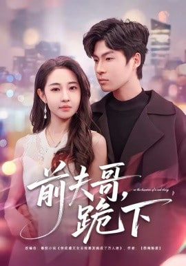 前夫哥，跪下海报图