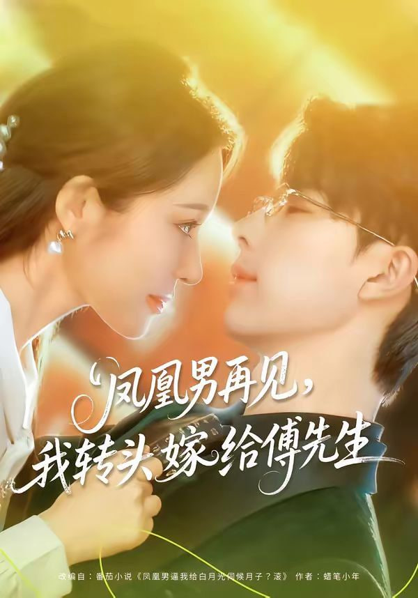 凤凰男再见，我转头嫁给傅先生海报图