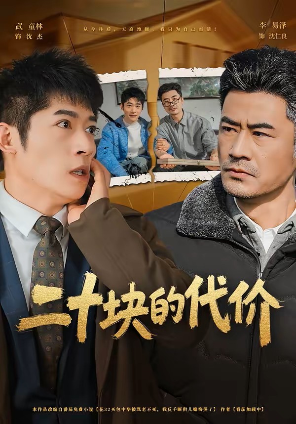 二十块的代价封面图