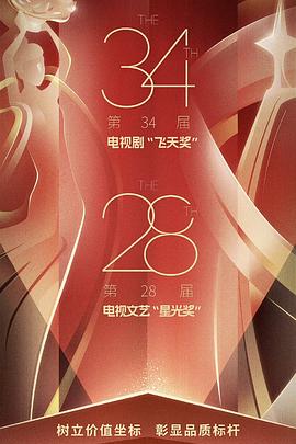 中国电视剧飞天奖暨星光奖 2024封面图