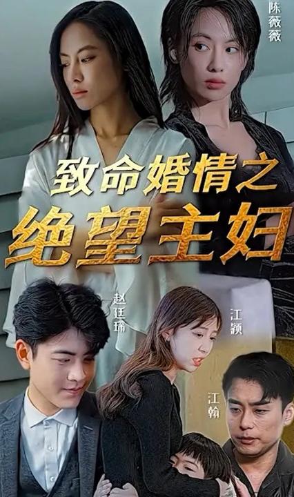 致命婚情之绝望主妇海报图