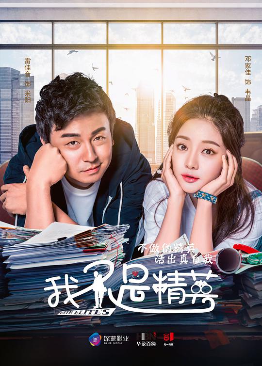 我不是精英网络版封面图
