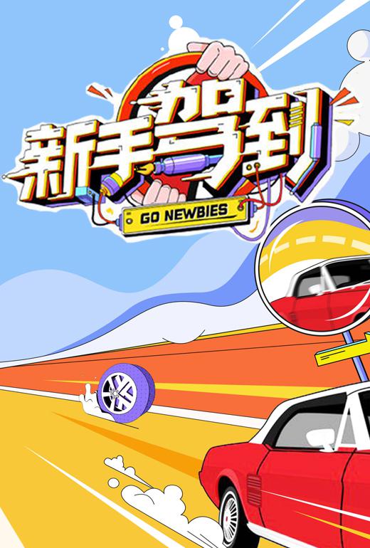 新手驾到封面图