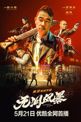 无间风暴国语封面图