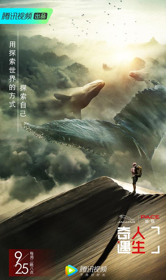 奇遇人生第一季优享版封面图