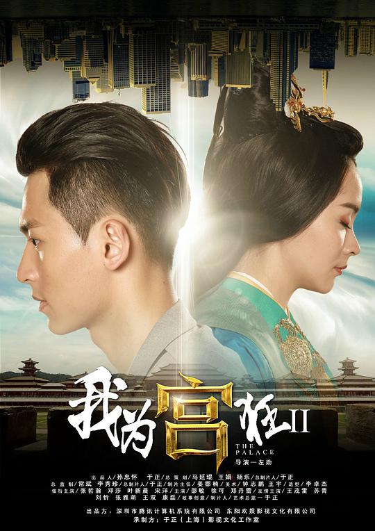 我为宫狂2封面图
