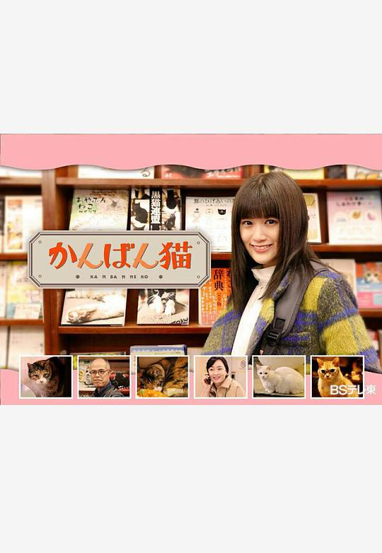 看板猫封面图