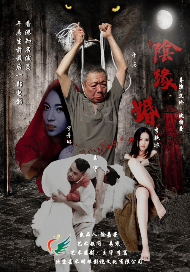 阴缘婚封面图