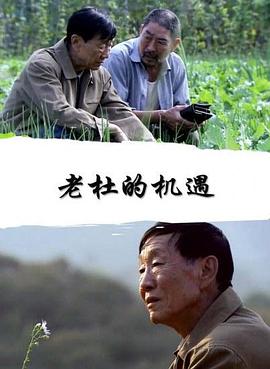 老杜的机遇封面图