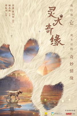 灵犬奇缘封面图