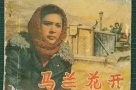 马兰花开1956封面图