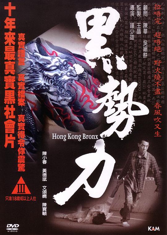 再见古惑仔封面图