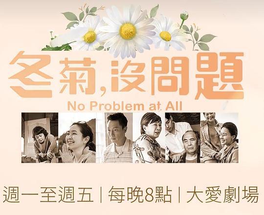 冬菊，没问题封面图
