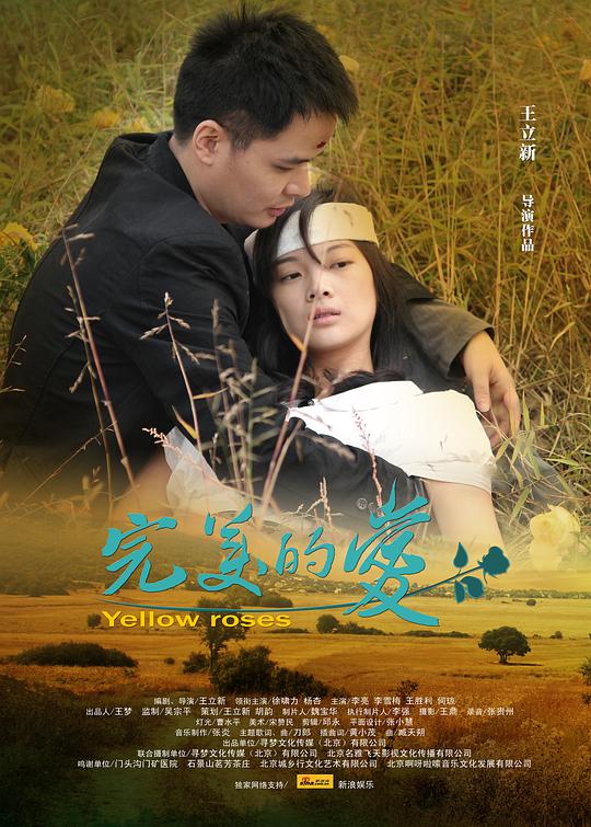 完美的爱封面图