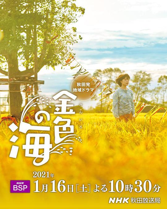 金色之海封面图