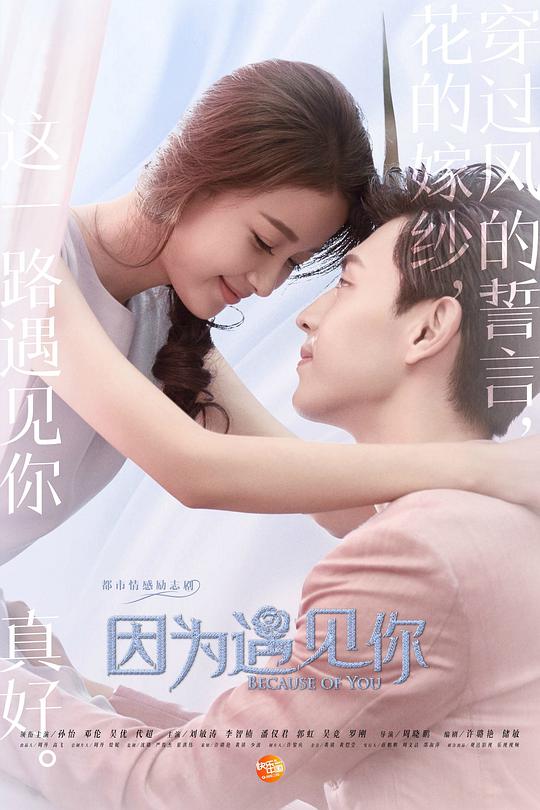 因为遇见你未删减版封面图
