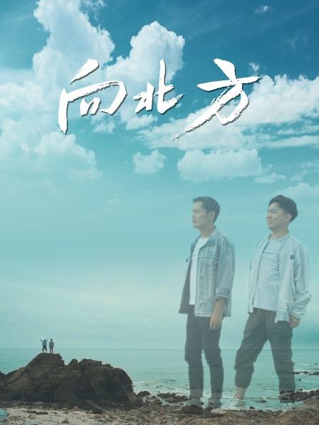 向北方封面图