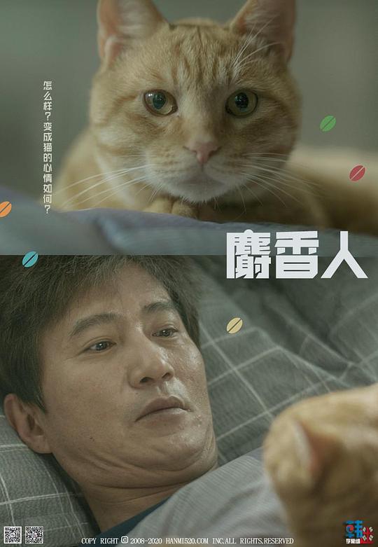 麝香人封面图