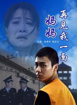 妈妈再见我一面海报图