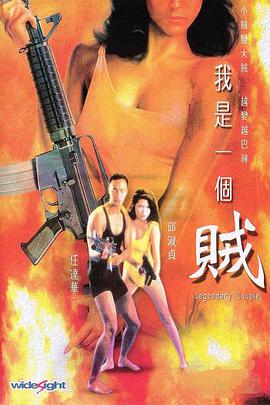 我是一个贼（普通话版）封面图