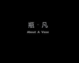 瓶·凡封面图