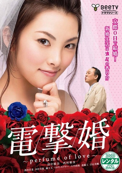 电击婚封面图