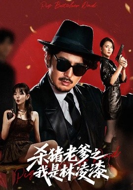 杀猪老爹之我是林凌海报图