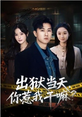 出狱当天，你惹我干嘛？封面图