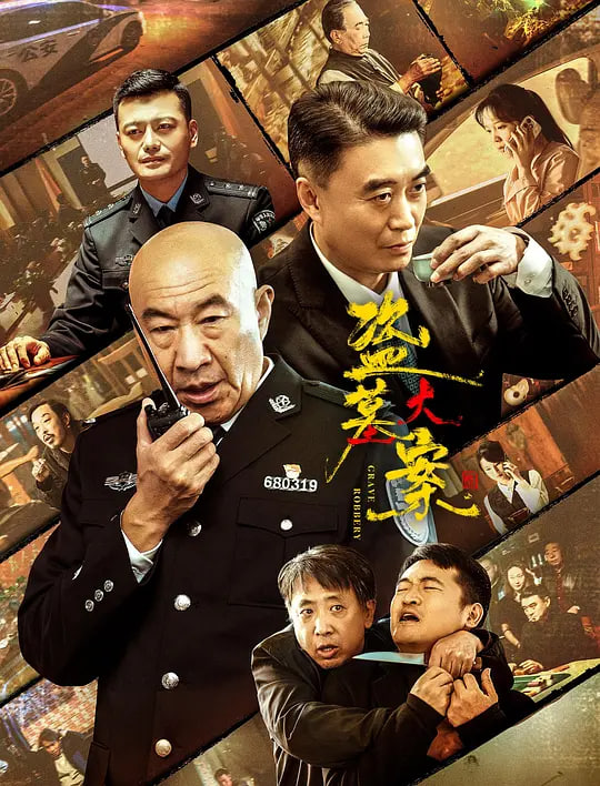 盗墓大案 追捕行动封面图