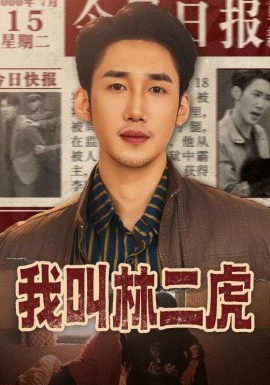 我叫林二虎海报图