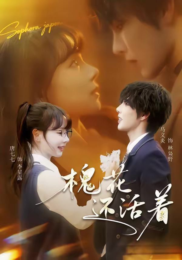 槐花还活着海报图