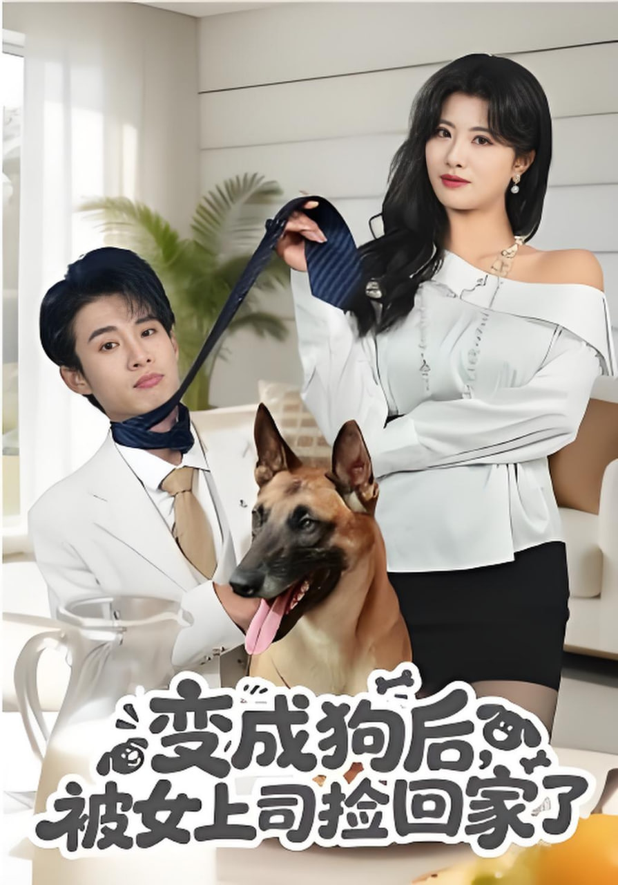 变成狗后，被女上司捡回家了封面图