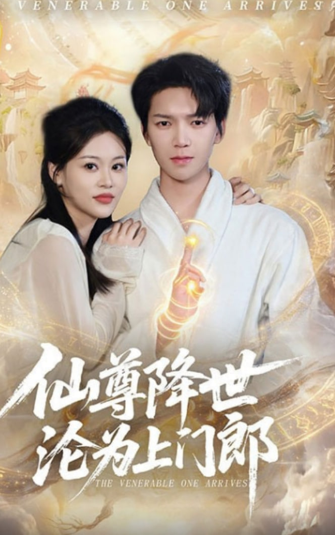 仙尊降世沦为上门郎海报图