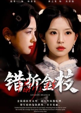错折金枝封面图