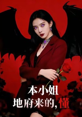 小姐地府来的，懂封面图