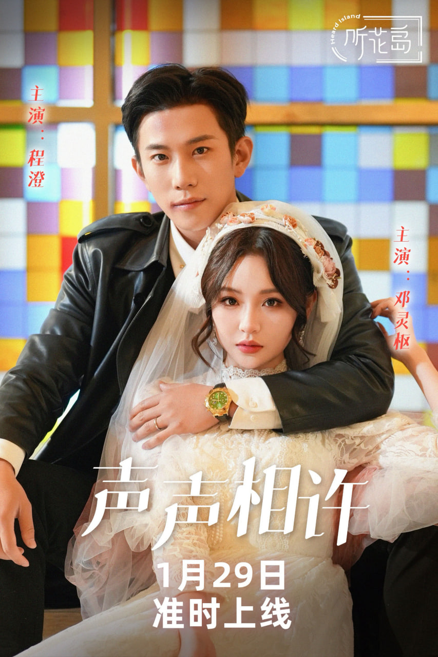 声声许海报图