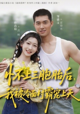 怀上三胞胎后，我被冷面村霸宠上天封面图