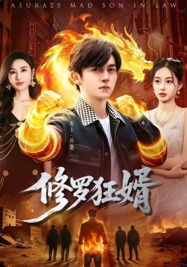 修罗狂婿封面图