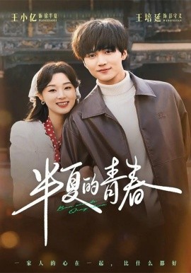 半夏的青春封面图