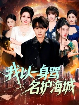 我以一身骂名护海城封面图