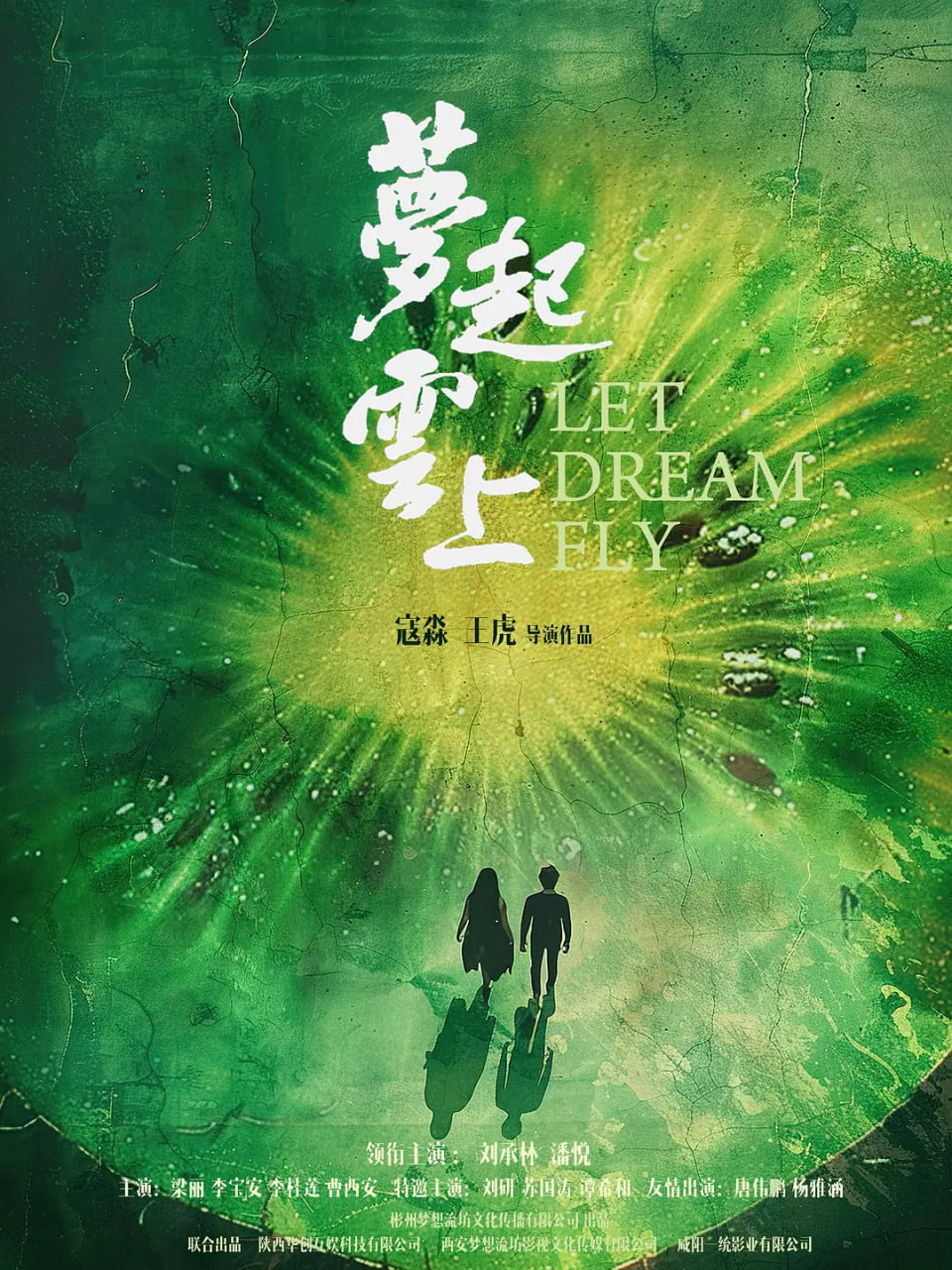 梦起云上封面图