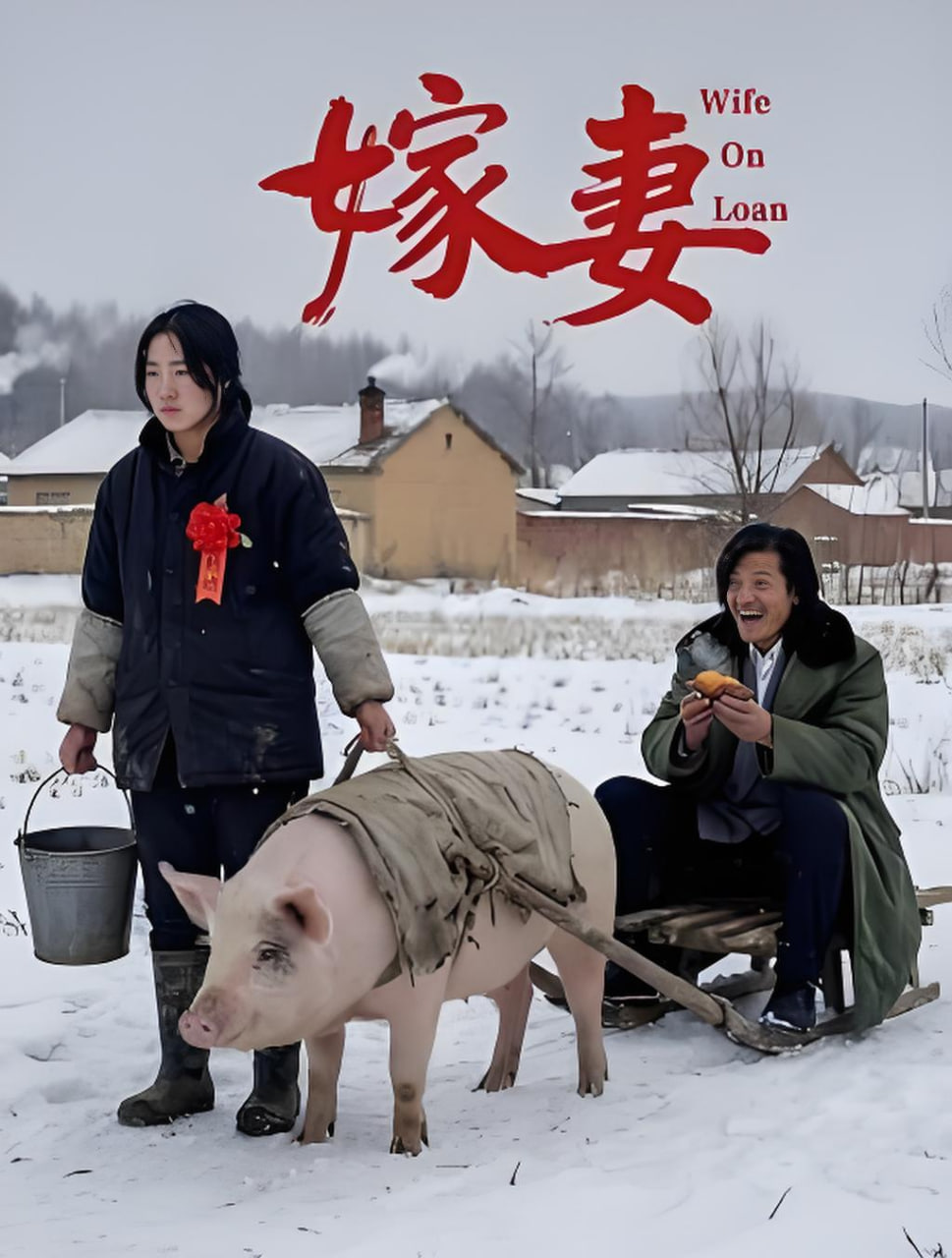 嫁妻封面图